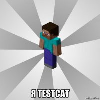  я testcat