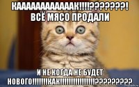 каааааааааааак!!!!???????! всё мясо продали и не когда не будет нового!!!!!!!как!!!!!!!!!!!!!!!!?????????