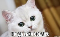  когда убил собаку: