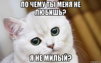 по чему ты меня не любишь? я не милый?