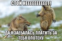 стой неееееееееет! да,я заебалась платить за тебя опотеку