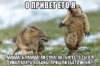 о привет ето я аааааа! бляаааа! ай сука! аа тьфу ето ты а я думал апять кобаны пришли ебать меня?!