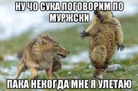 ну чо сука поговорим по муржски пака некогда мне я улетаю