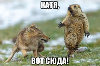 катя, вот сюда!