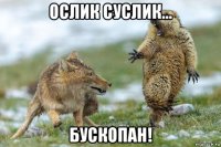 ослик суслик... бускопан!