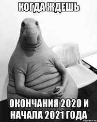 когда ждешь окончания 2020 и начала 2021 года