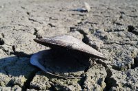 Создать мем Дефицит воды
