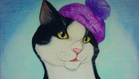 Создать мем Котька в шапочке