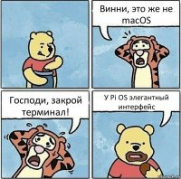 Винни, это же не macOS Господи, закрой терминал! У Pi OS элегантный интерфейс