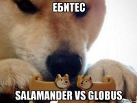 ебитес salamander vs globus