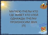 МАТВЕЮ ПЧЁЛЫ КТО ГДЕ ЖИВЁТ КТО УЛЕЙ ОДНАЖДЫ ПЧЁЛКУ ПРОИЗНОСИМ ЗВУК [П]