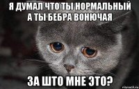 я думал что ты нормальный а ты бебра вонючая за што мне это?