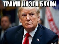 трамп козёл бухой 