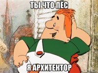 ты что пёс я архитектор