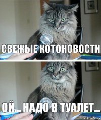 свежые котоновости ой... надо в туалет...