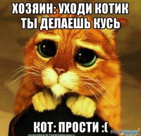 хозяин: уходи котик ты делаешь кусь кот: прости :(