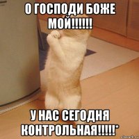 о господи боже мой!!!!!! у нас сегодня контрольная!!!!!*