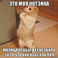 это моя котэйка молица чтобы я ее не убила за то что она обосала пол