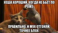 кеша хороший, когда не бьёт по роже правильно, и мух отгоняй, точнее блох