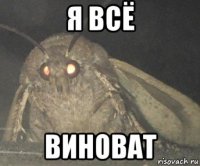 я всё виноват