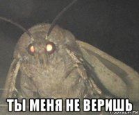  ты меня не веришь