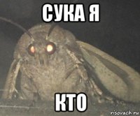 сука я кто