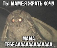 ты маме;я жрать хочу мама тебе;аааааааааааааа