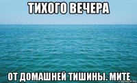 тихого вечера от домашней тишины. мите