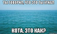 ты говорил, что это ты угнал кота, это как?