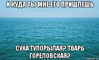 и куда ты мне его пришлешь сука тупорылая? тварь гореловская?