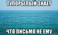 тупорылый знает что письмо не ему