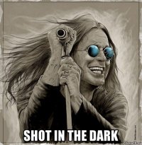  shot in the dark