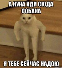 а нука иди сюда собака я тебе сейчас надою