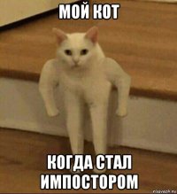 мой кот когда стал импостором