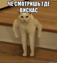 чё смотришь где вискас 