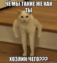 чё мы такие же как ты хозяин:чего???