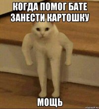 когда помог бате занести картошку мощь