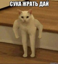 сука жрать дай 