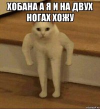 хобана а я и на двух ногах хожу 