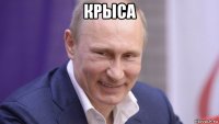 крыса 