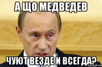 а що медведев чуют везде и всегда?