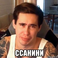  ссанини
