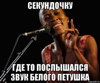 секундочку где то послышался звук белого петушка