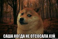  саша когда не отсосала хуй