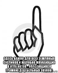  здесь важно для всех земляных сусликов и жалобно мяукающих в углу котов - опасающихся громких децебельных звуков!