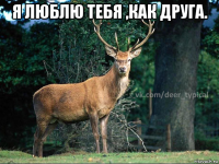 я люблю тебя ,как друга. 