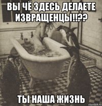 вы чё здесь делаете извращенцы!!?? ты наша жизнь