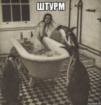 штурм 