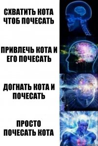 Схватить кота чтоб почесать Привлечь кота и его почесать Догнать кота и почесать Просто почесать кота