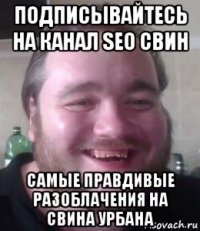 подписывайтесь на канал seo свин самые правдивые разоблачения на свина урбана